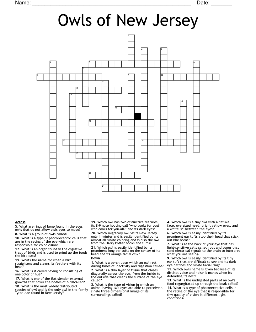 Owls of New Jersey Crossword