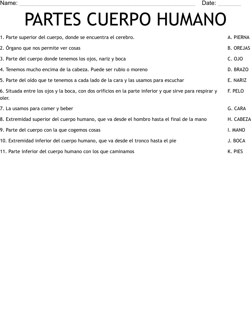 PARTES CUERPO HUMANO Worksheet