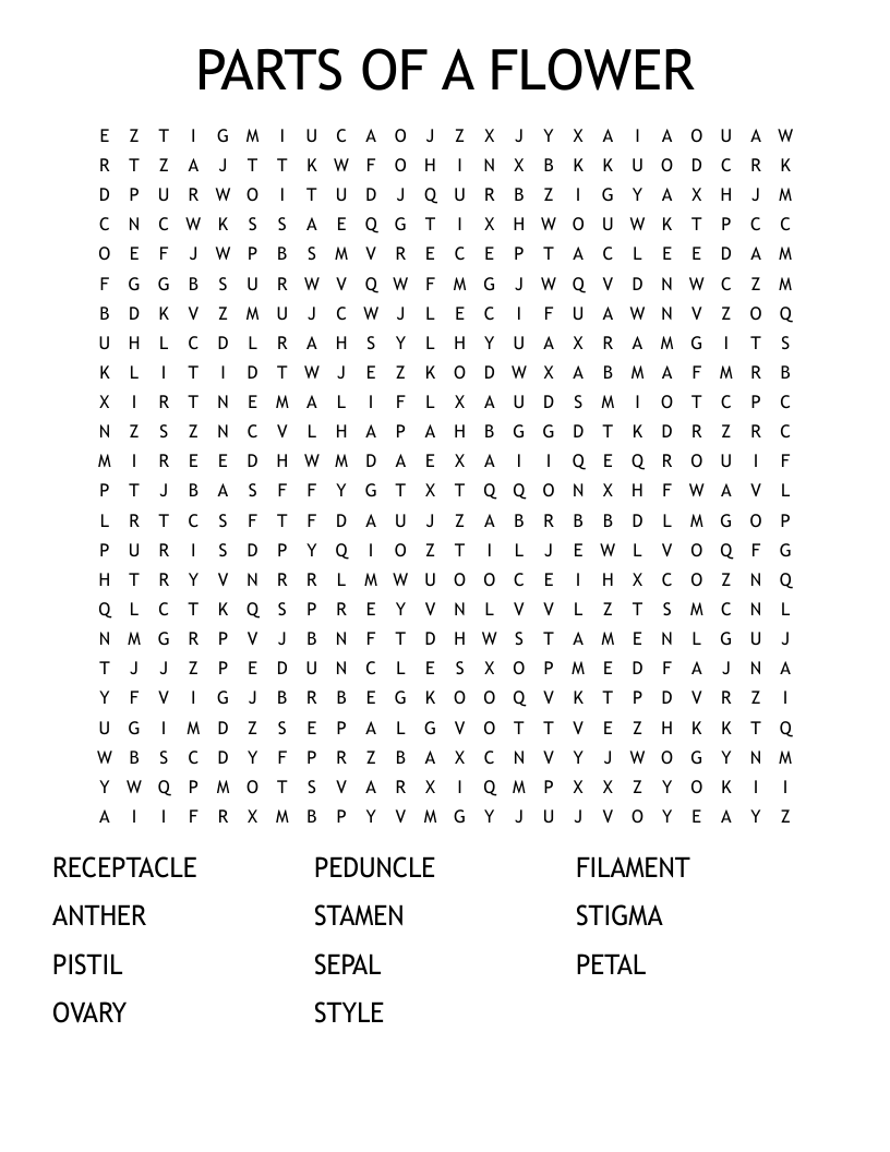 PARTS OF A FLOWER  Word Search