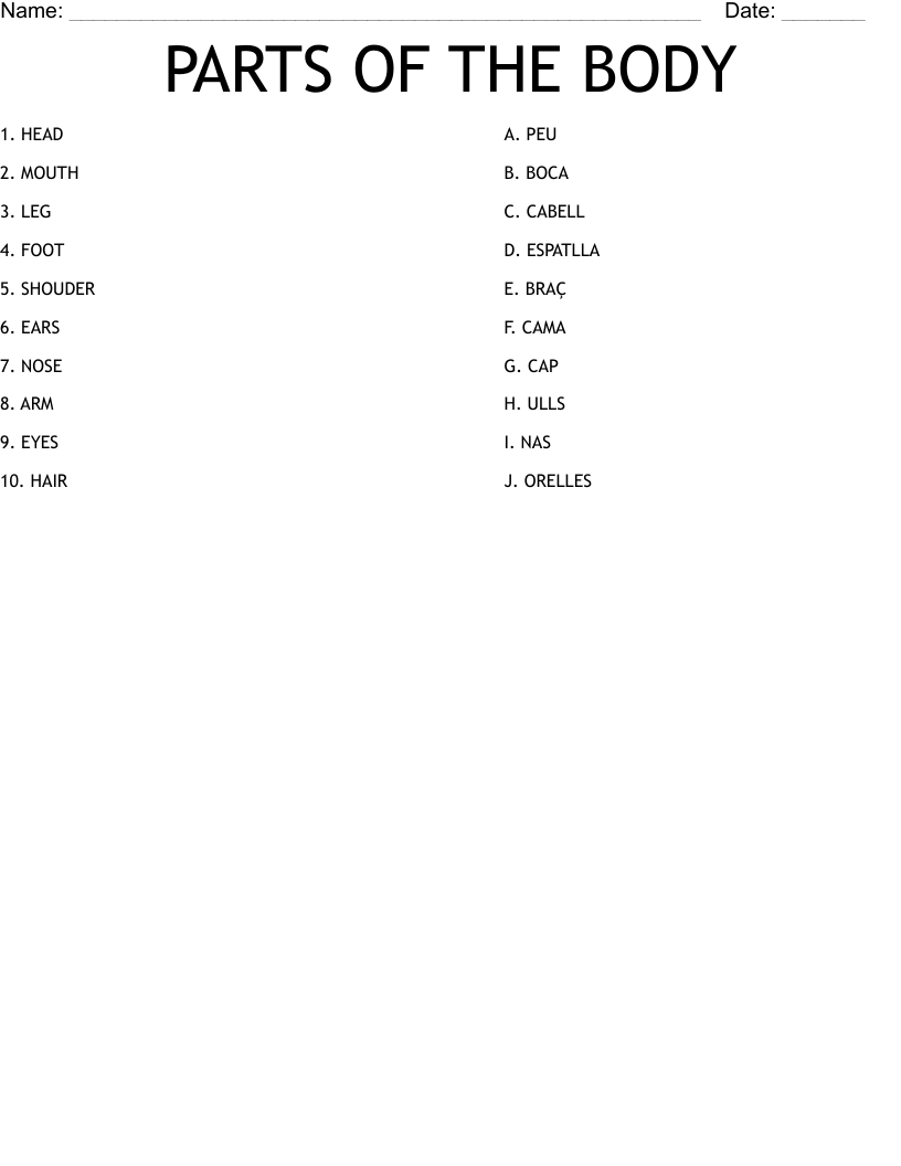 PARTS OF THE BODY Worksheet