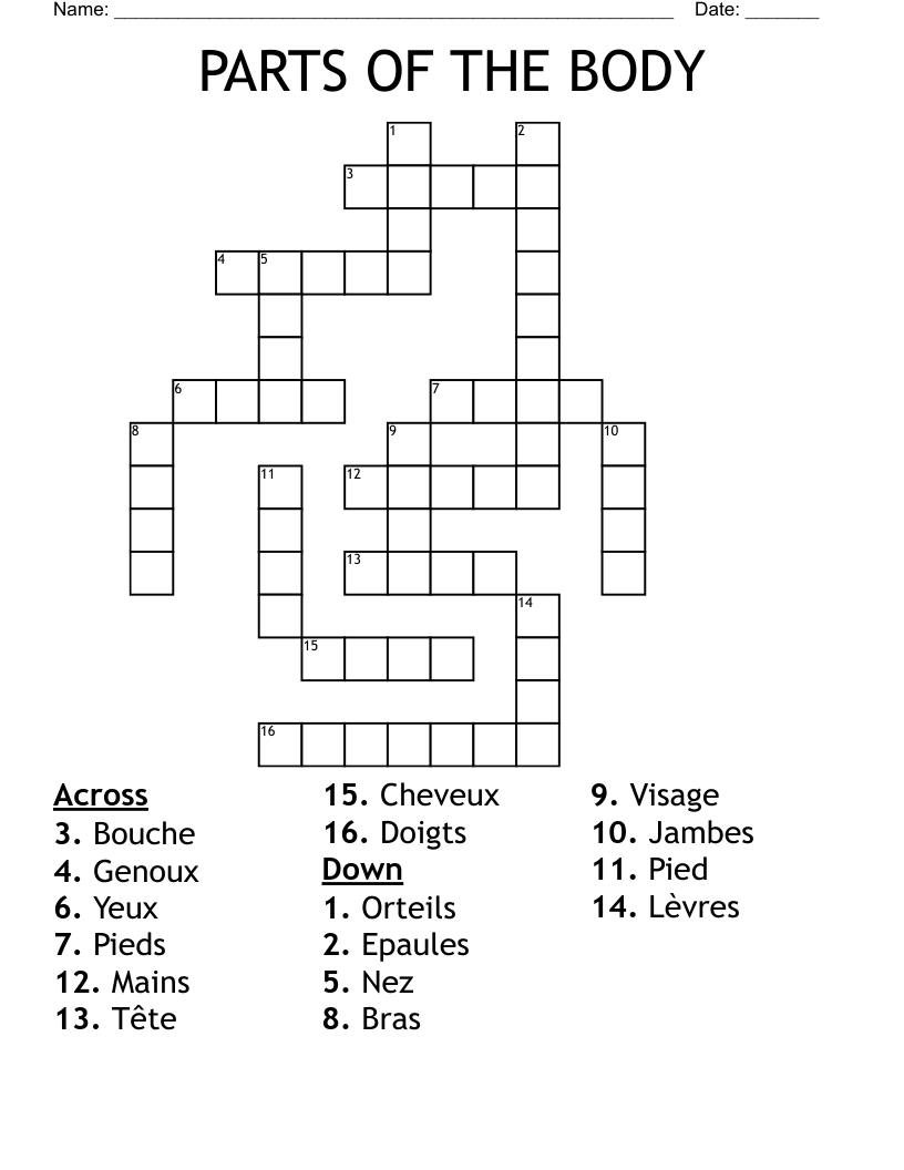 PARTS OF THE BODY Crossword