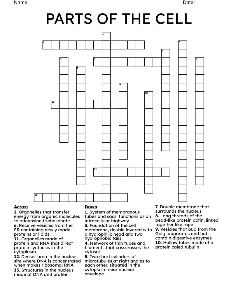 PARTS OF THE CELL Crossword