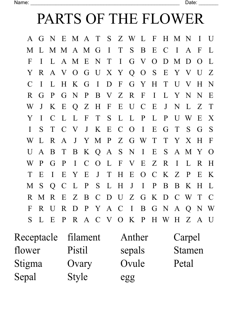 PARTS OF THE FLOWER Word Search