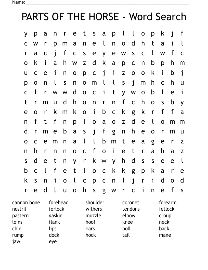 PARTS OF THE HORSE - Word Search