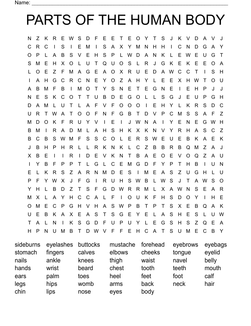PARTS OF THE HUMAN BODY Word Search