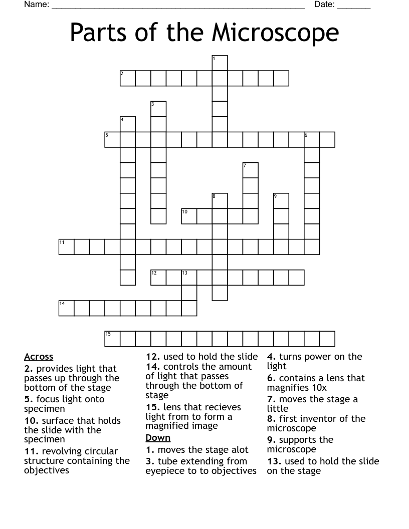 Parts of the Microscope Crossword