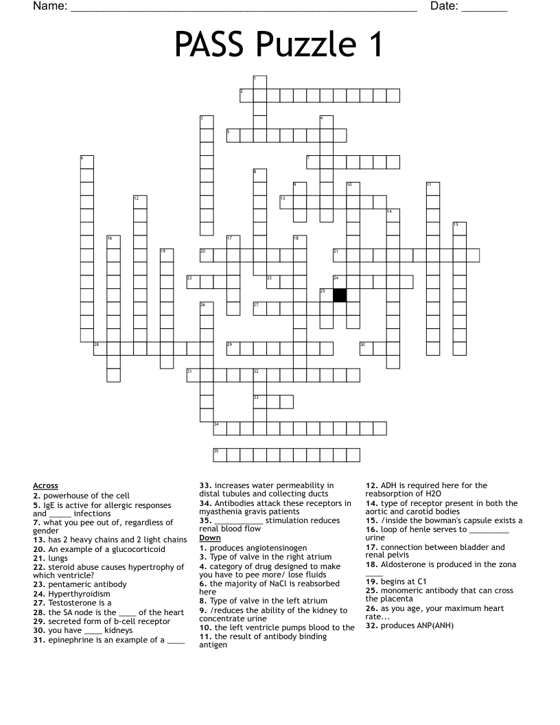 PASS Puzzle 1 Crossword