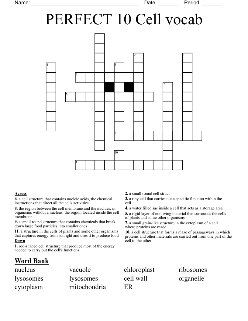 PERFECT 10 Cell vocab Crossword