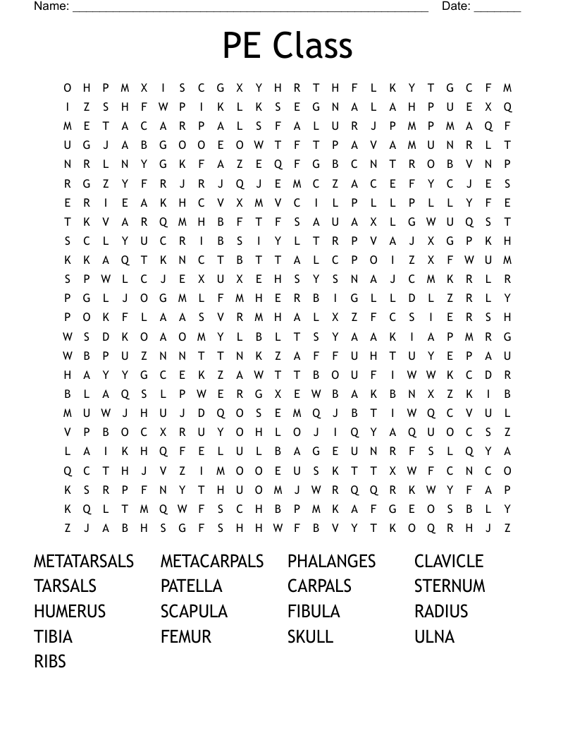 PE Class Word Search