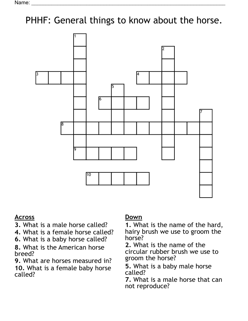 PHHF: General things to know about the horse. Crossword