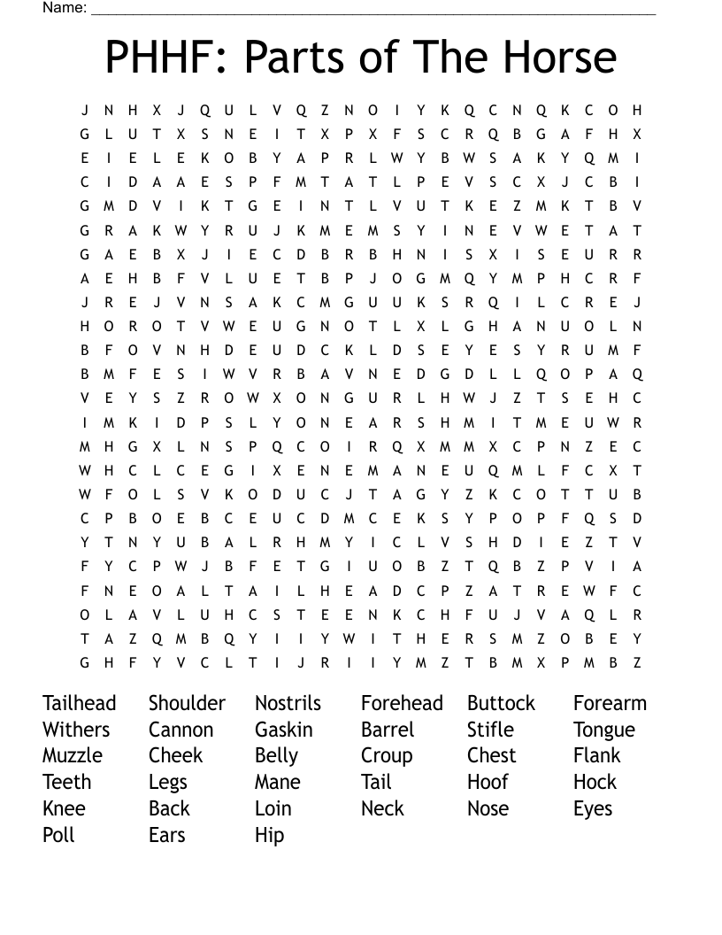 PHHF: Parts of The Horse Word Search