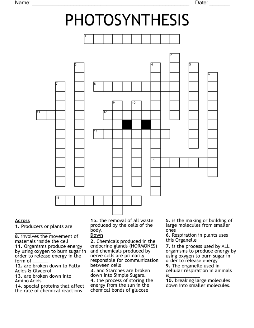 PHOTOSYNTHESIS Crossword