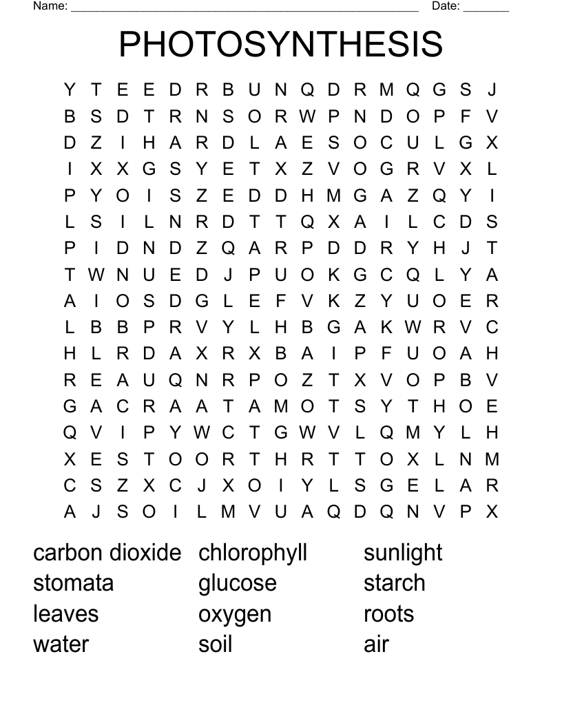 PHOTOSYNTHESIS Word Search