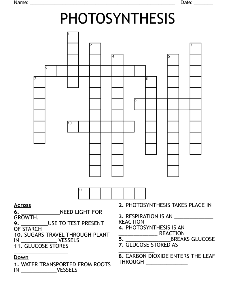 PHOTOSYNTHESIS Crossword