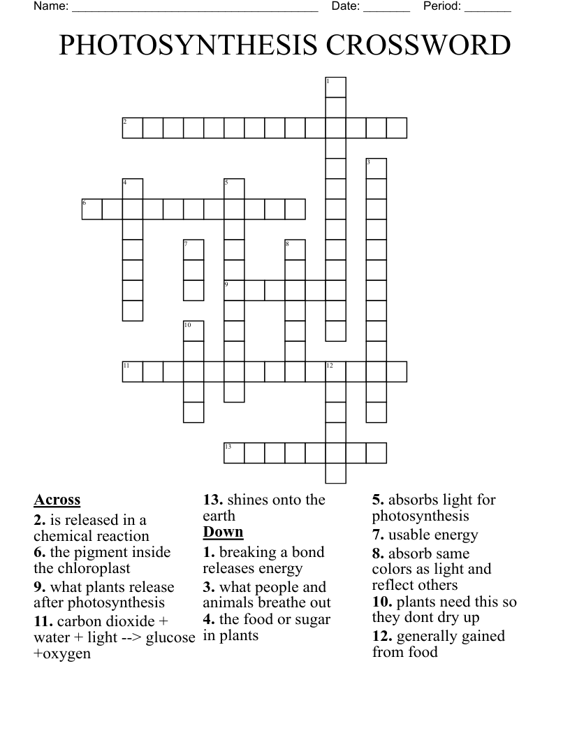 PHOTOSYNTHESIS CROSSWORD
