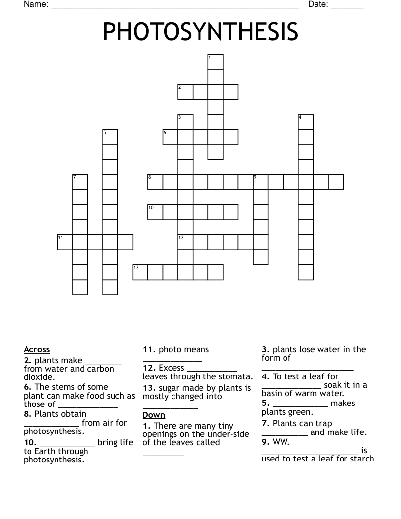PHOTOSYNTHESIS  Crossword