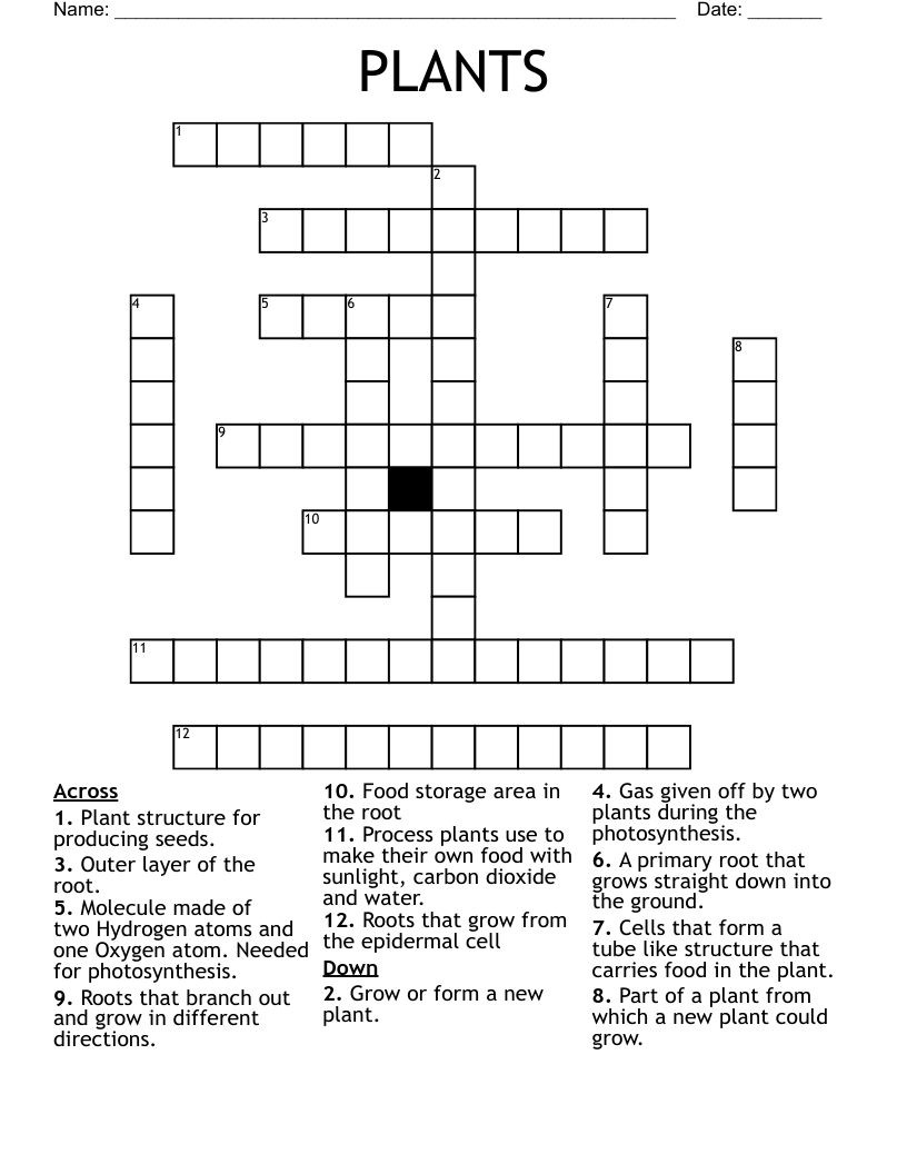 PLANTS Crossword