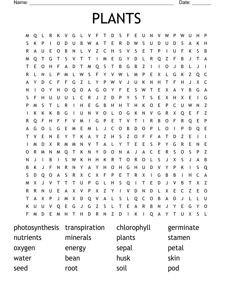 PLANTS Word Search