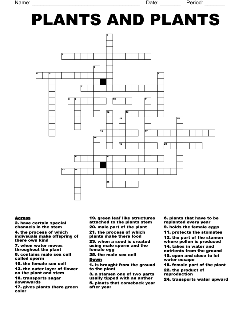 PLANTS AND PLANTS Crossword