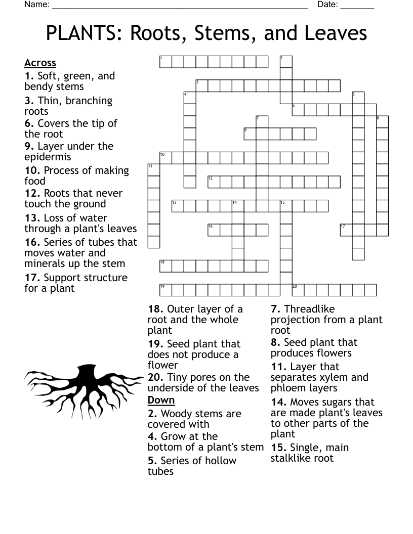 PLANTS:  Roots, Stems, and Leaves Crossword