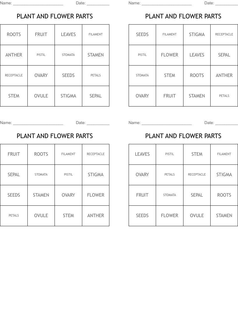 PLANT AND FLOWER PARTS  Bingo Cards