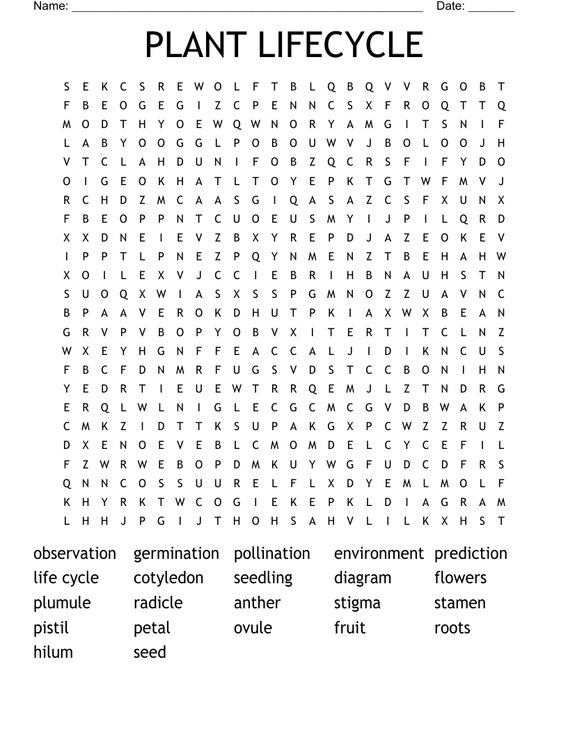 PLANT LIFECYCLE Word Search