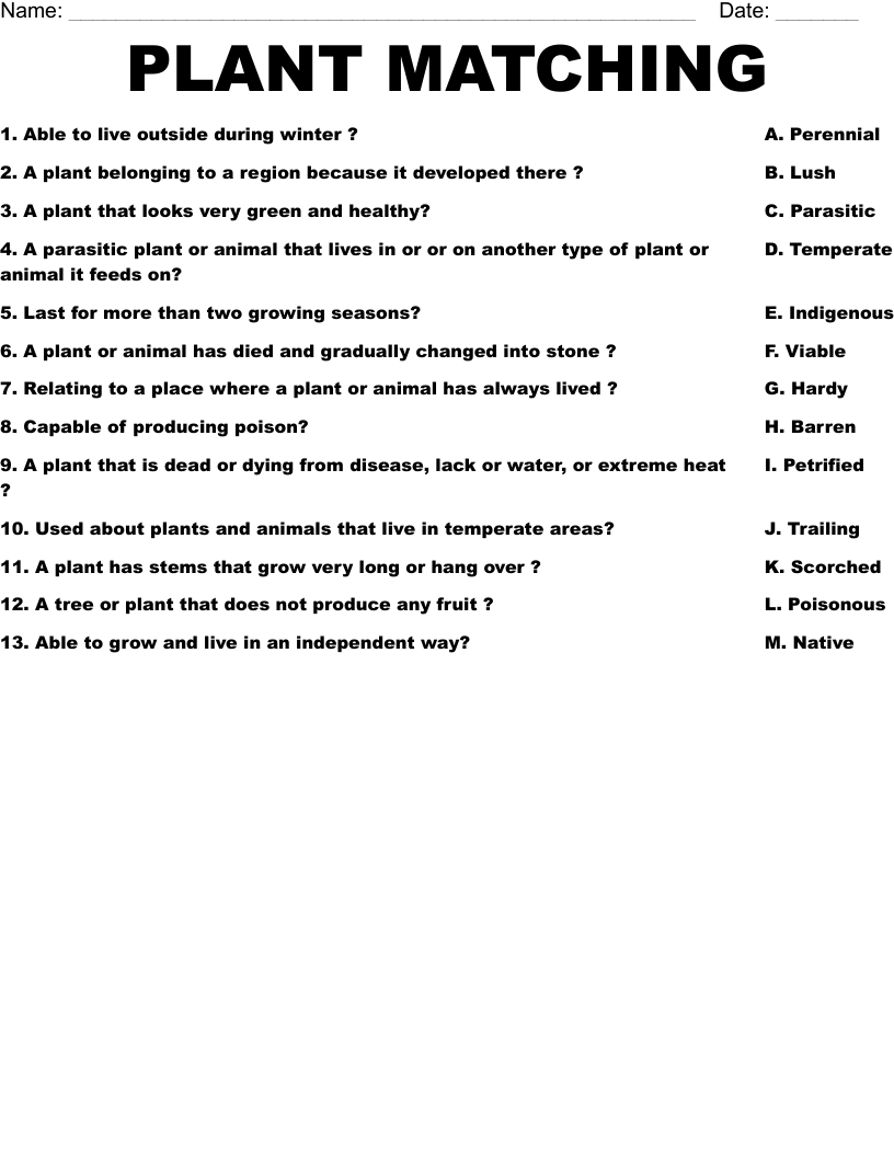 PLANT MATCHING  Worksheet