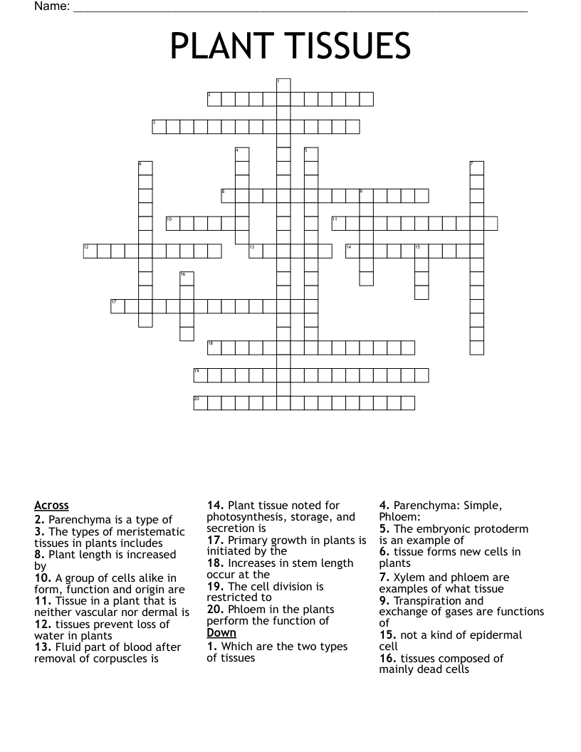 PLANT TISSUES Crossword