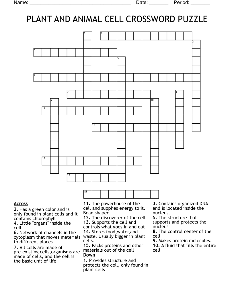PLANT  AND ANIMAL CELL CROSSWORD PUZZLE