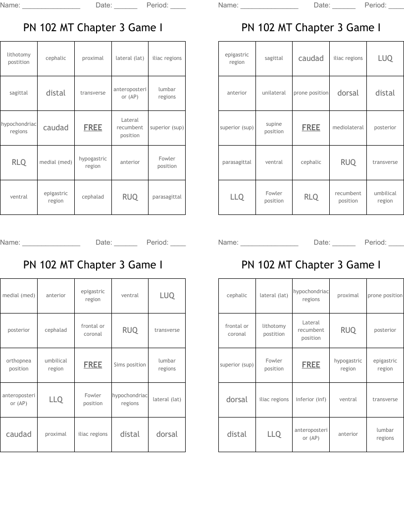 PN 102 MT Chapter 3  Game I Bingo Cards