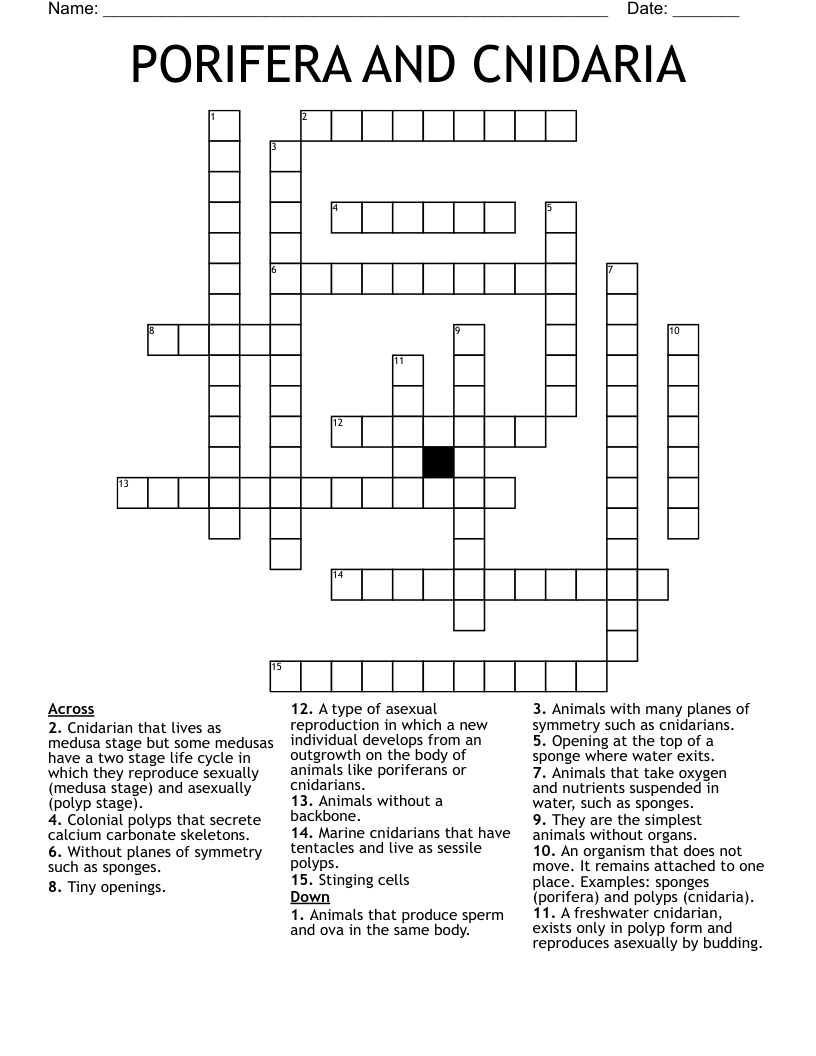 PORIFERA AND CNIDARIA Crossword