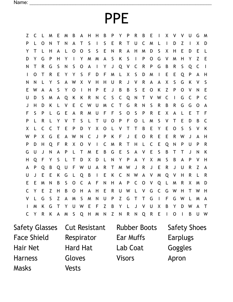 PPE Word Search