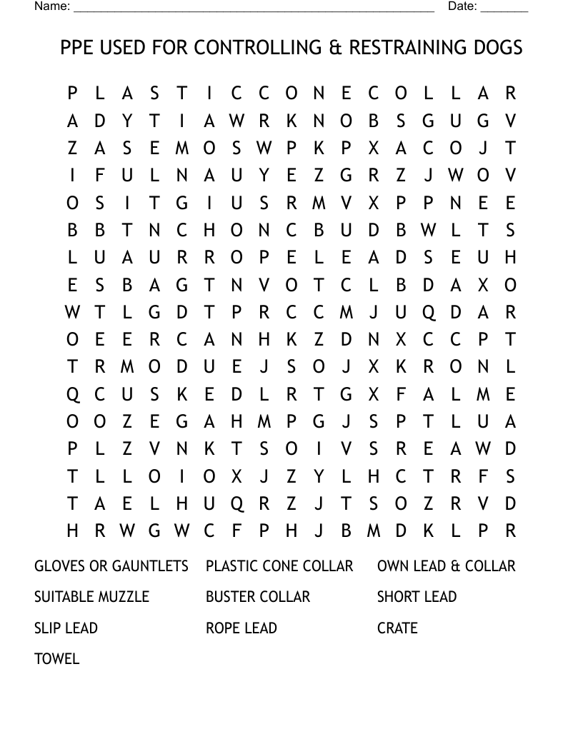 PPE USED FOR CONTROLLING & RESTRAINING DOGS Word Search