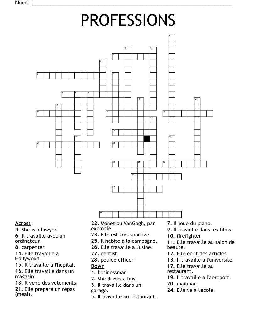 PROFESSIONS Crossword