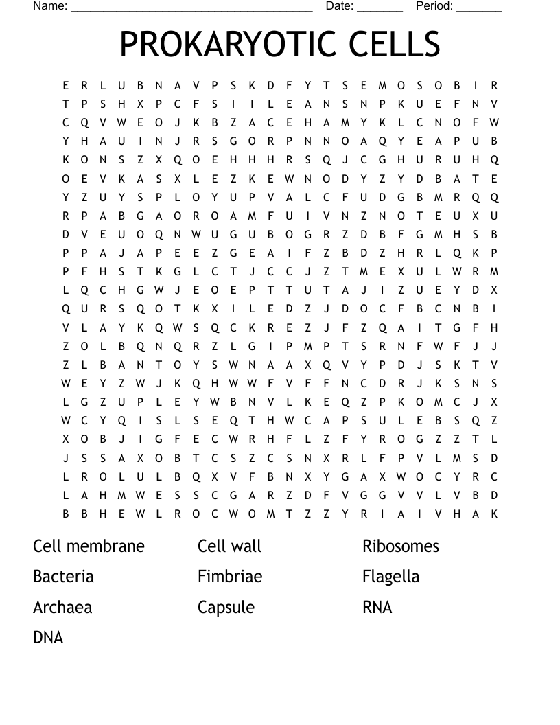 PROKARYOTIC CELLS Word Search