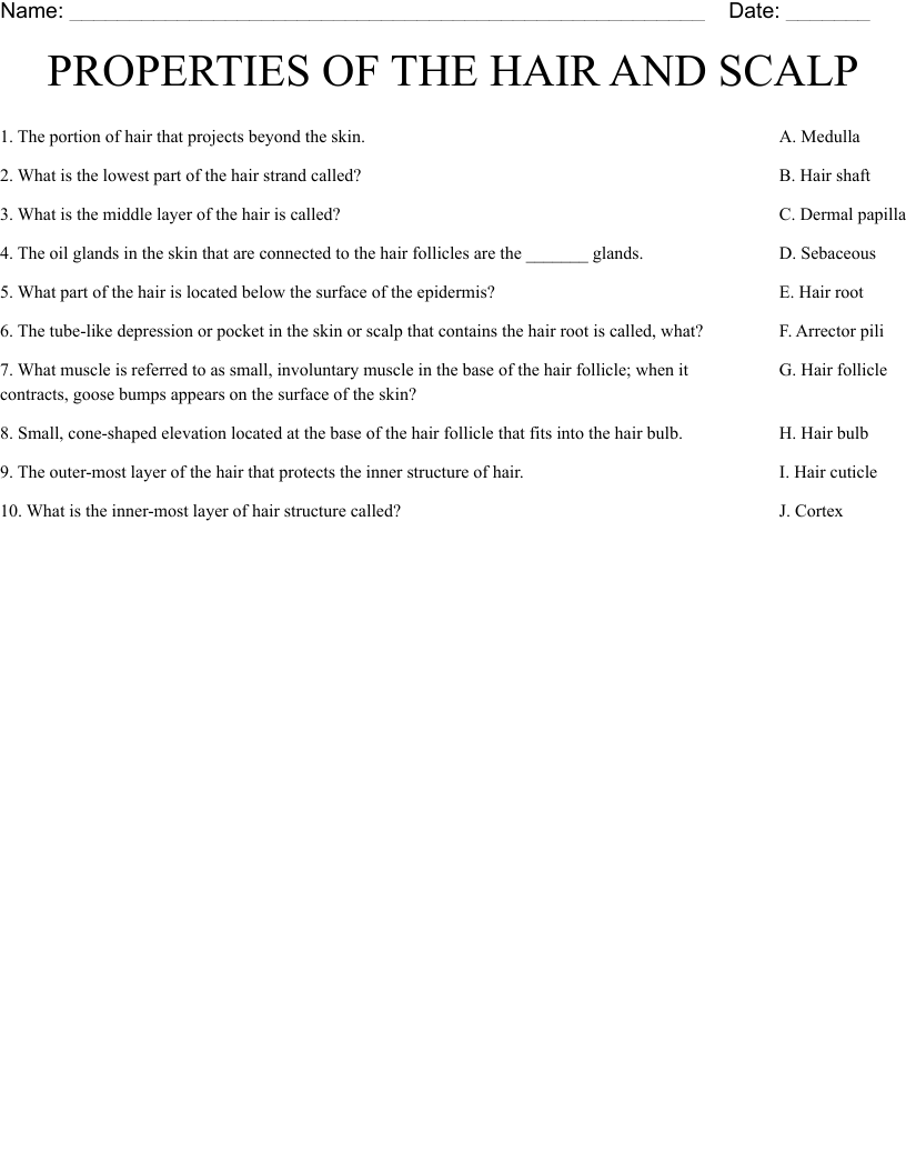 PROPERTIES OF THE HAIR AND SCALP Worksheet