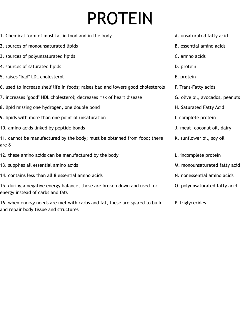 PROTEIN Worksheet