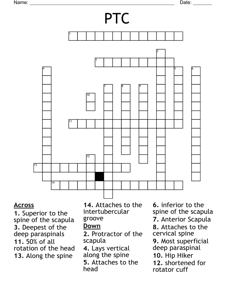 PTC Crossword
