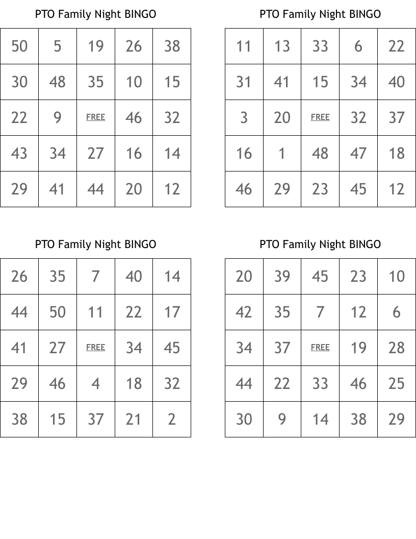 PTO Family Night BINGO