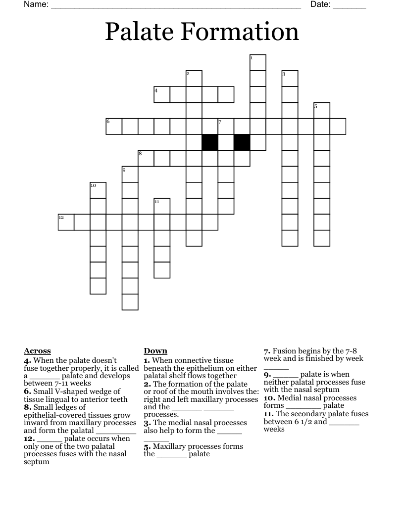 Palate Formation Crossword