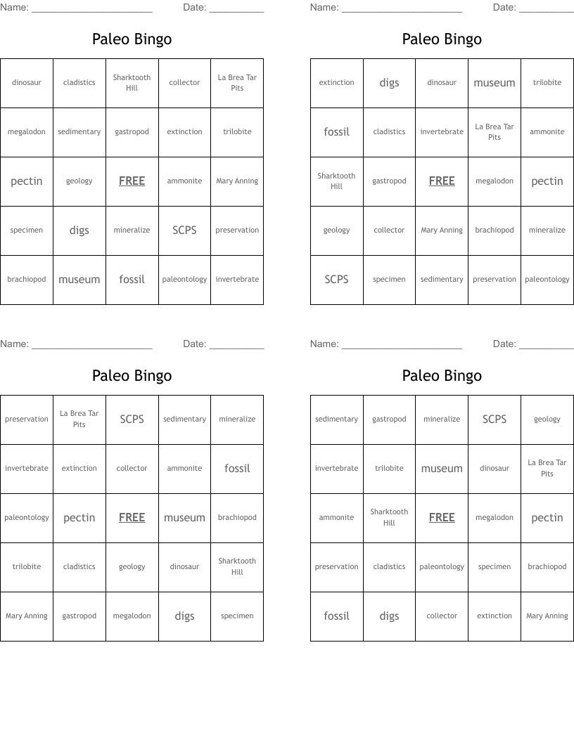 Paleo Bingo