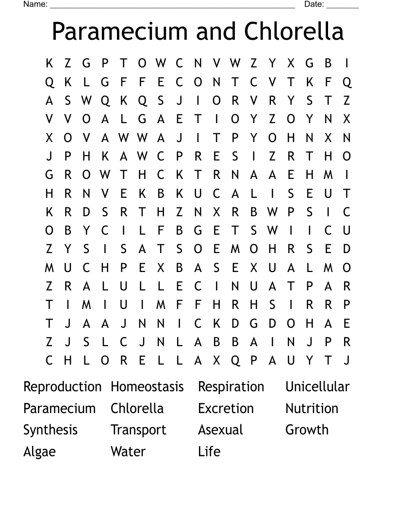 Paramecium and Chlorella Word Search