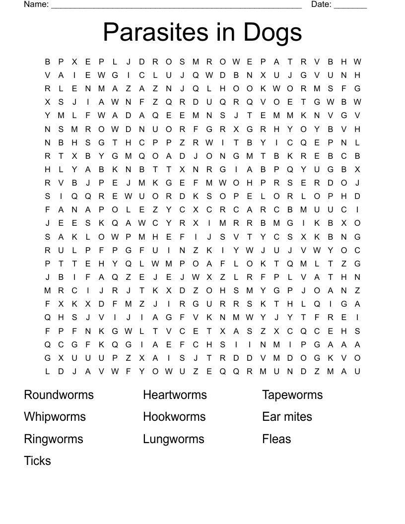 Parasites in Dogs Word Search