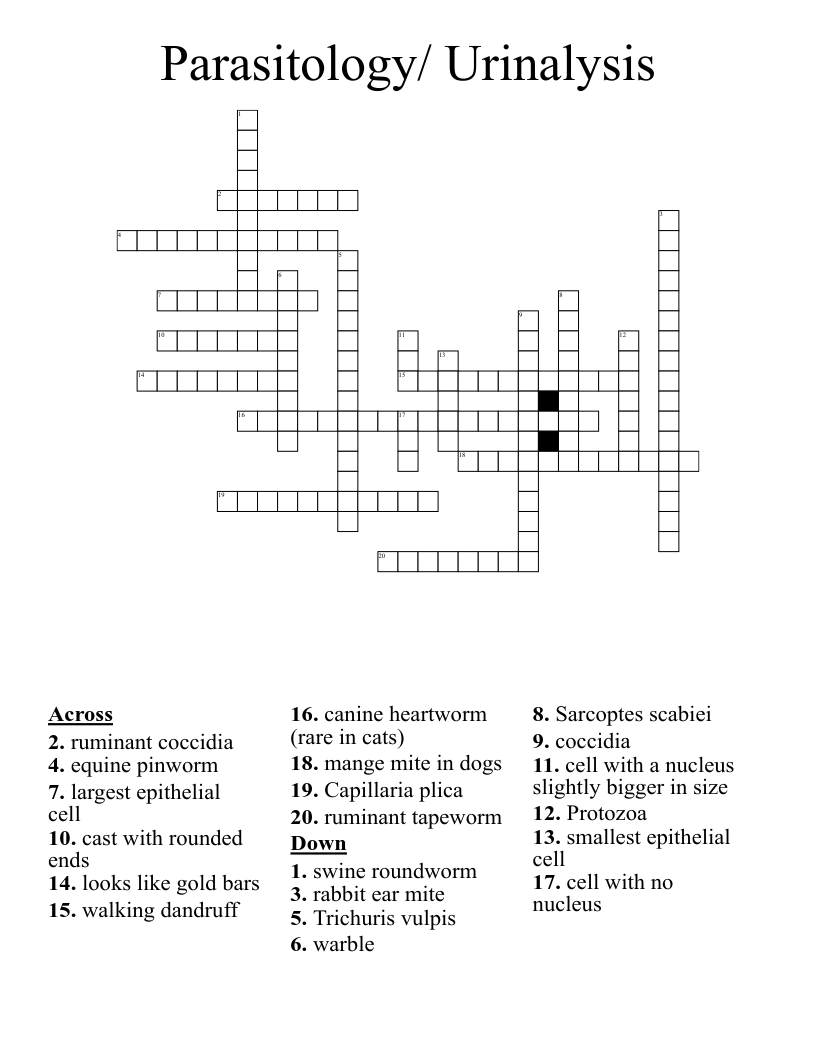 Parasitology/ Urinalysis Crossword