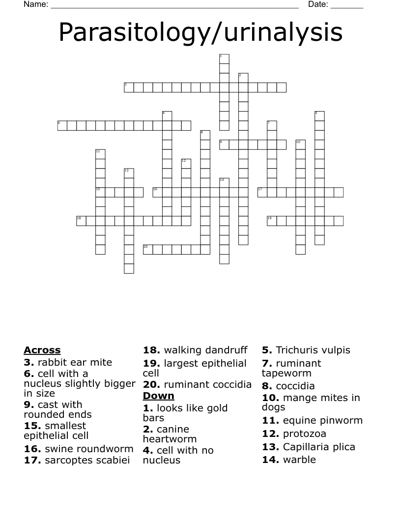 Parasitology/urinalysis Crossword