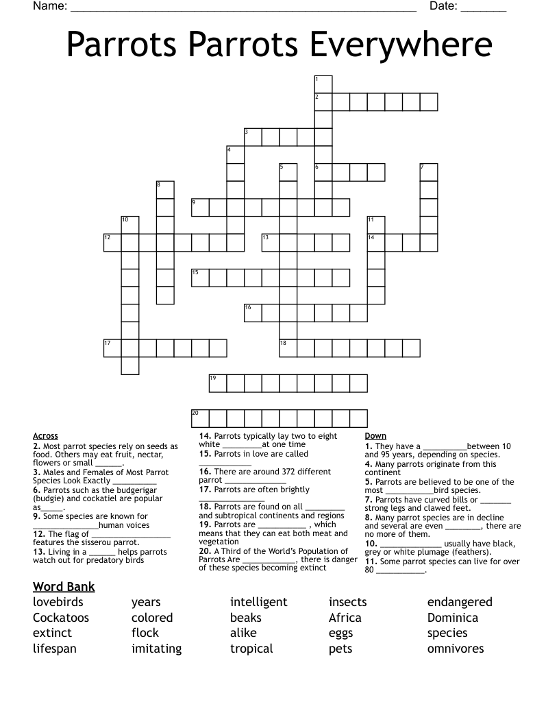 Parrots Parrots Everywhere Crossword