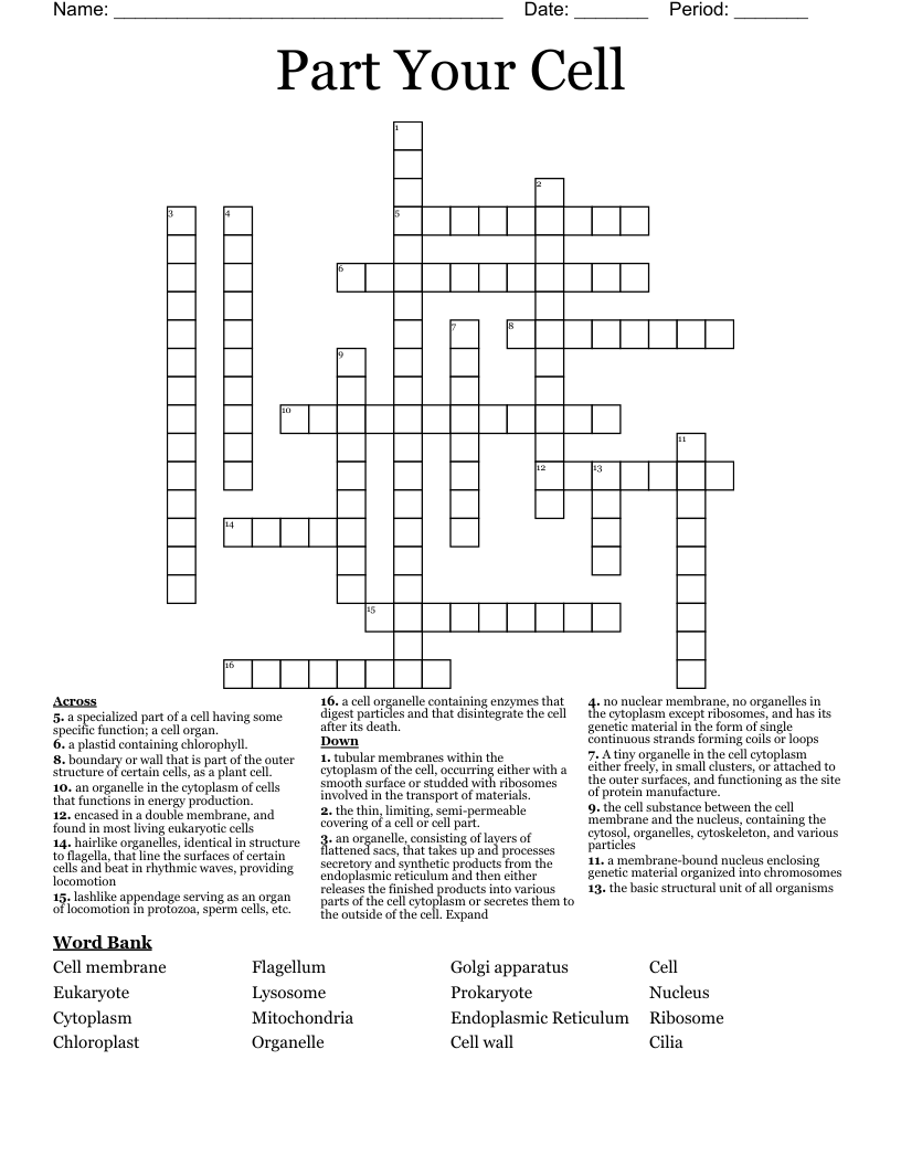 Part Your Cell Crossword