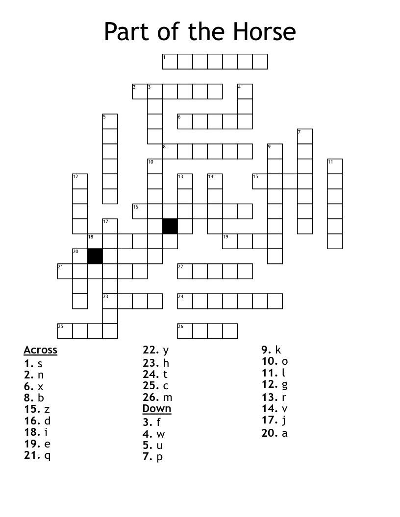 Part of the Horse Crossword