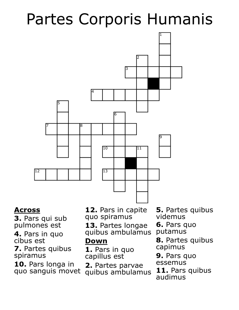Partes Corporis Humanis Crossword