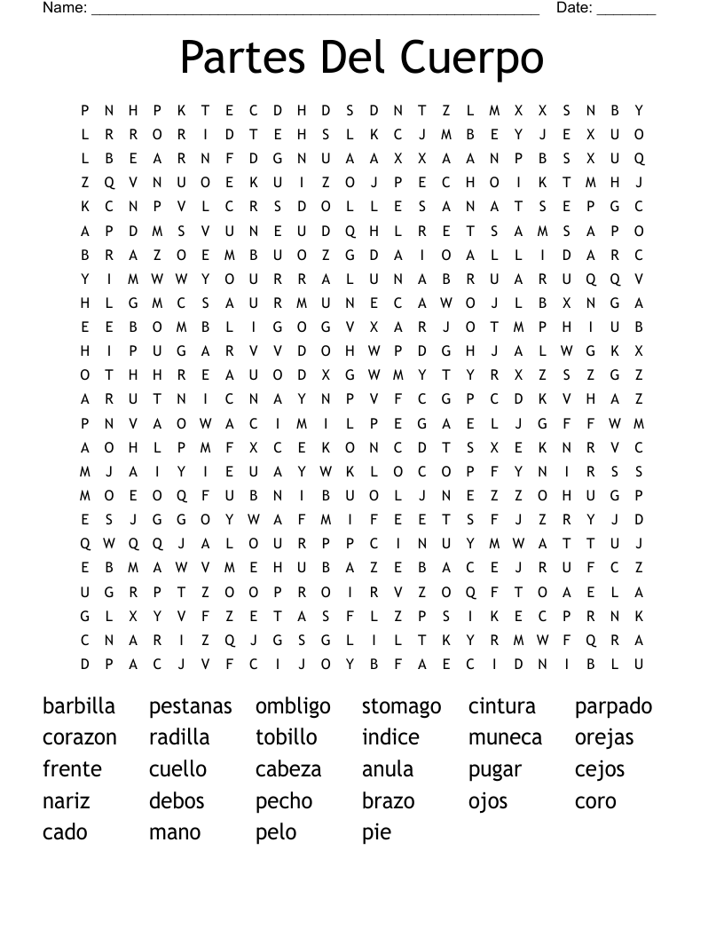 Partes Del Cuerpo Word Search